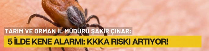   5 İlde Kene Alarmı: KKKA Riski Artıyor! 