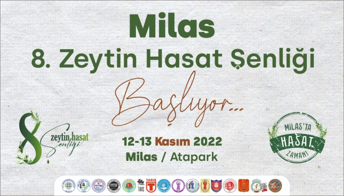 8.Milas Zeytin Hasat Şenliği Başlıyor