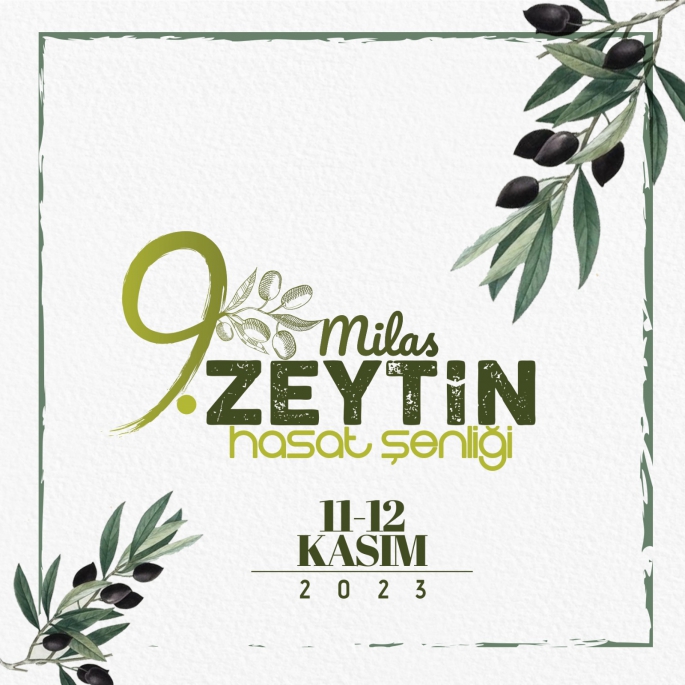 9. MİLAS ZEYTİN HASAT ŞENLİĞİ HEYECANI BAŞLIYOR