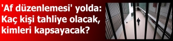 'Af düzenlemesi' yolda:  Kaç kişi tahliye olacak,  kimleri kapsayacak?