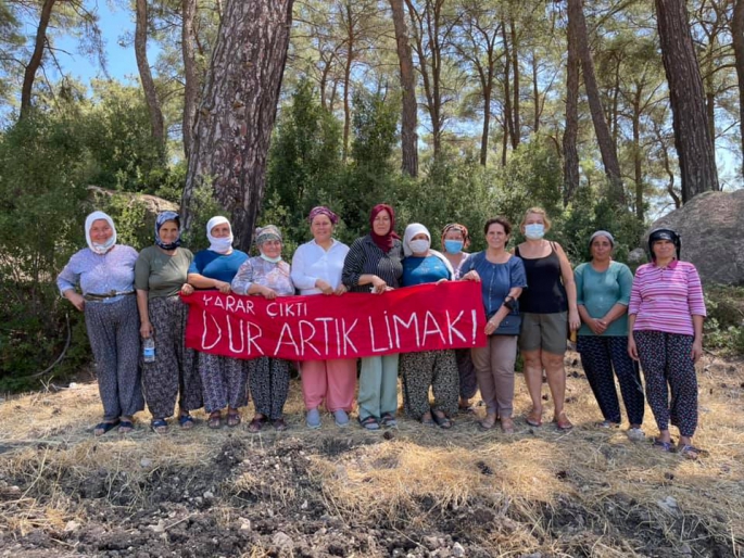 Akbelen Ormanı bilirkişi hakimi HSK'ye şikayet edildi