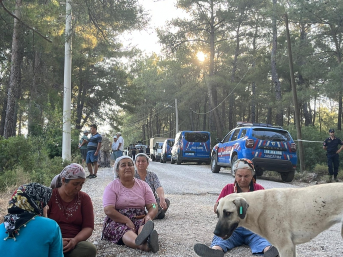 Akbelen ormanlarında ağaç kesimi başladı