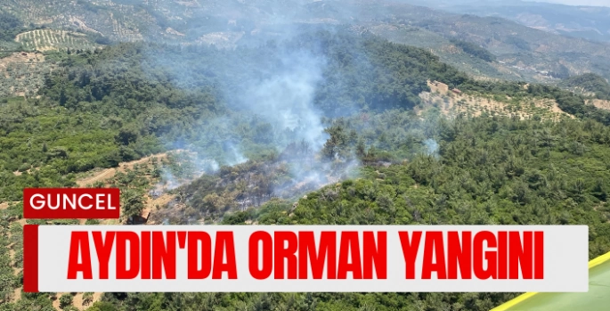 Aydın'da Orman Yangını: Ekipler Müdahale Ediyor