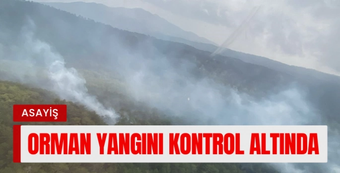 Aydın'da Orman Yangını Kontrol Altına Alındı: 2 Hektar Alan Zarar Gördü