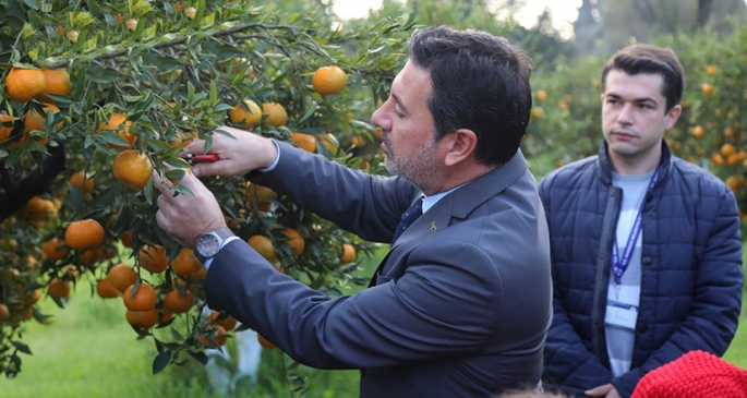 Bahçede Kalan Ürünü Belediye Alacak