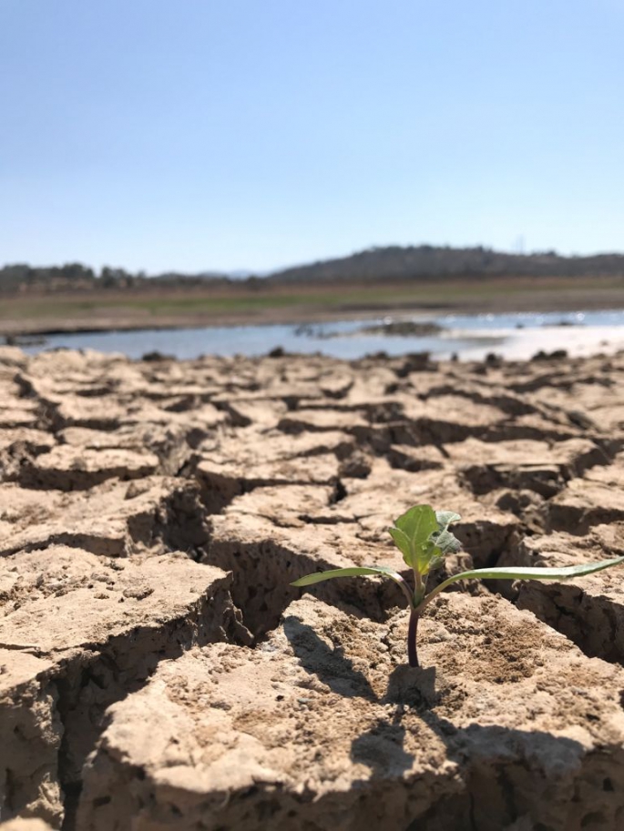 Barajların Doluluk Oranı Azaldı