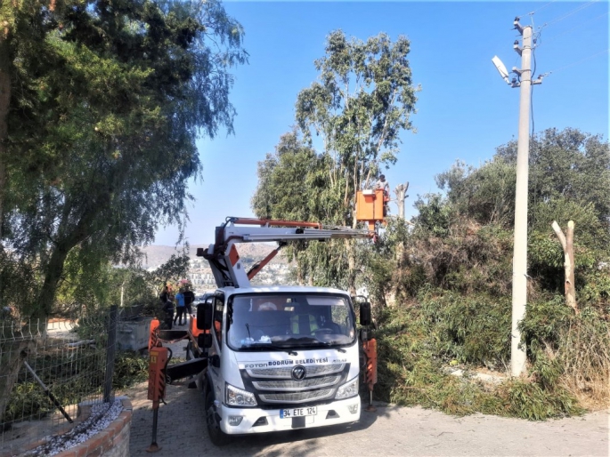 Bodrum Belediyesi Ağaç Budama Çalışmaları