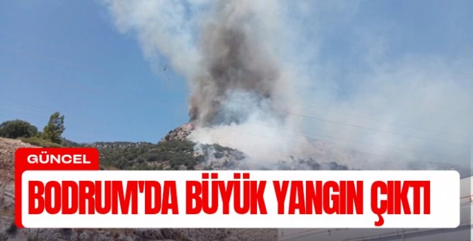 Bodrum'da AVM Yakınlarında Alev Alarmı: Yangın Rüzgârla Büyüdü, Ekipler Seferber Oldu!