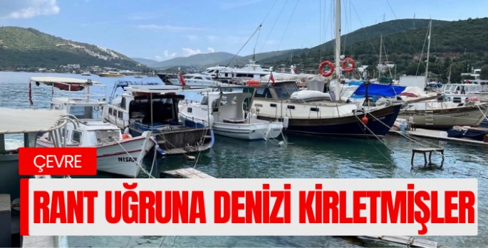 Bodrum'da deniz dibi operasyonu! 40 ton atık temizlendi