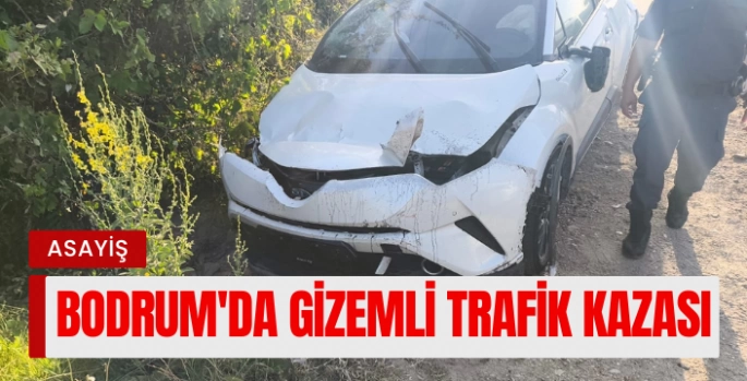 Bodrum'da Gizemli Kaza: EDS Direği Yıkıldı, Sürücü Sır Oldu