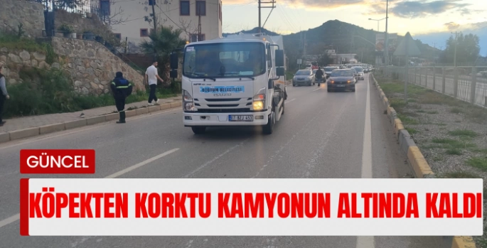 Bodrum’da köpeğin havlamasından irkildi, kamyonun altında kaldı