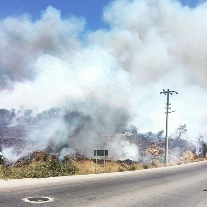 Bodrum'da Makilik Alanda Yangın!   