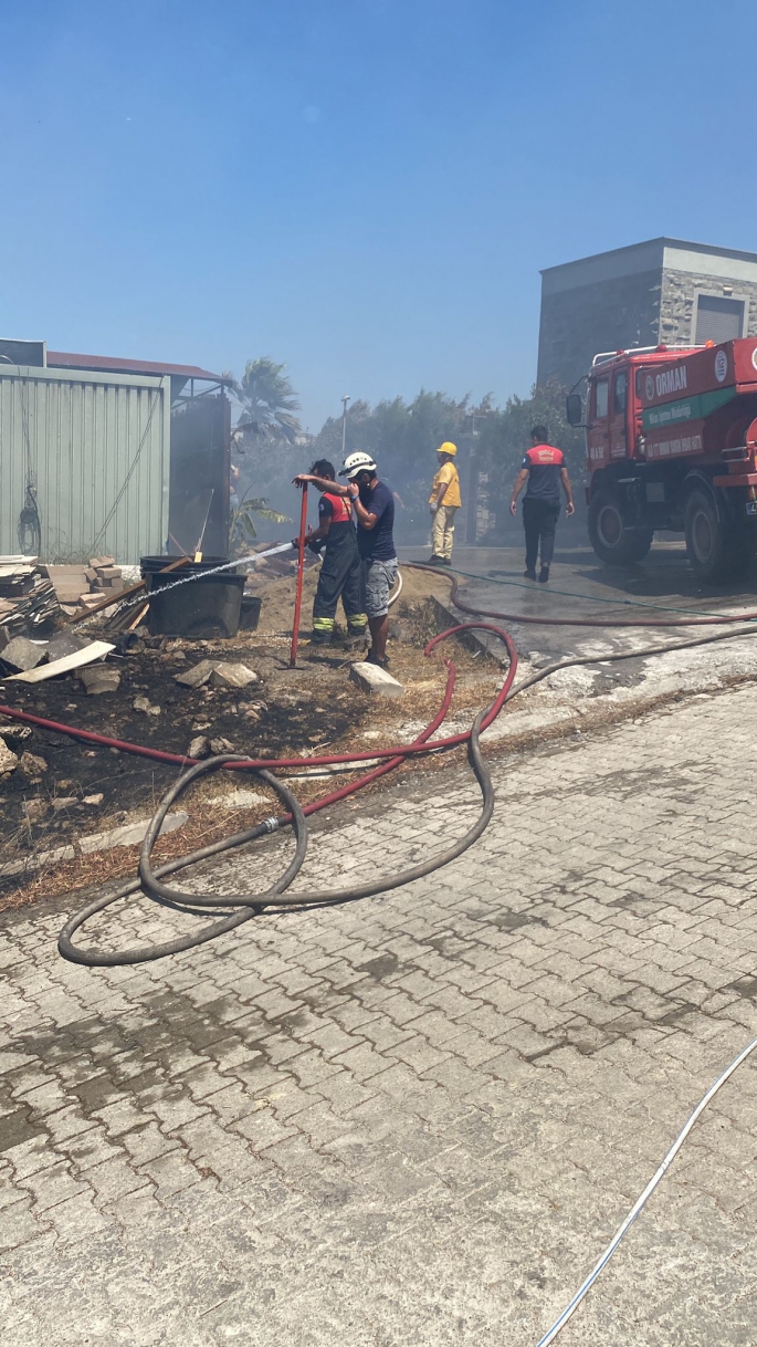 Bodrum’da otluk alanda çıkan yangın evlere sıçradı