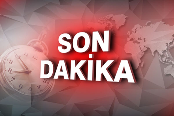 Bodrum'da sokak köpeği dehşeti!