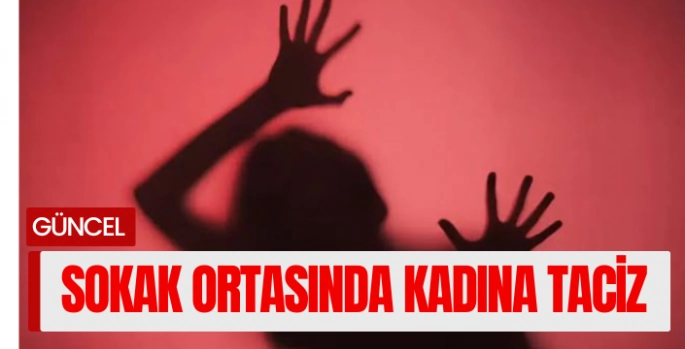 Bodrum’da Taciz Şoku:Güvenlik Kameralarına Yansıdı