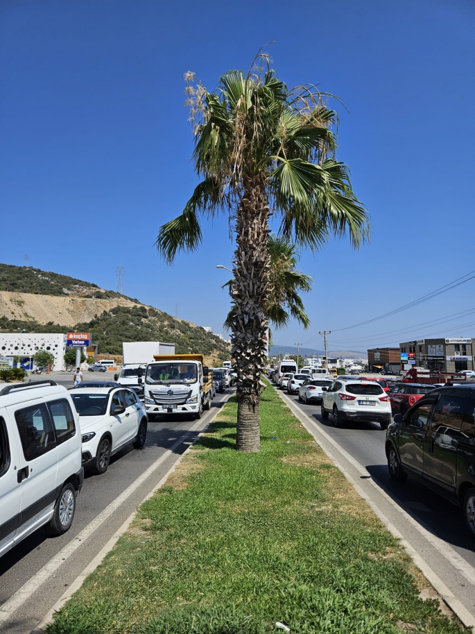 Bodrum'da trafik  felç! Tüm  yollar kapalı