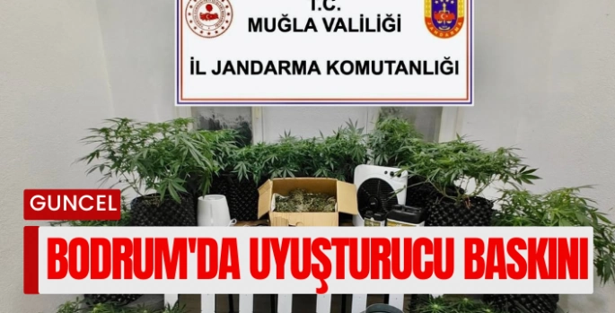 Bodrum'da uyuşturucu baskını: 2 gözaltı