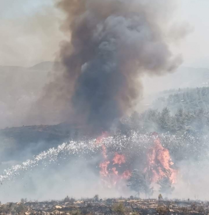 Bodrum'da yangın Kabusu yine başladı! Ekipler müdahale ediyor!  