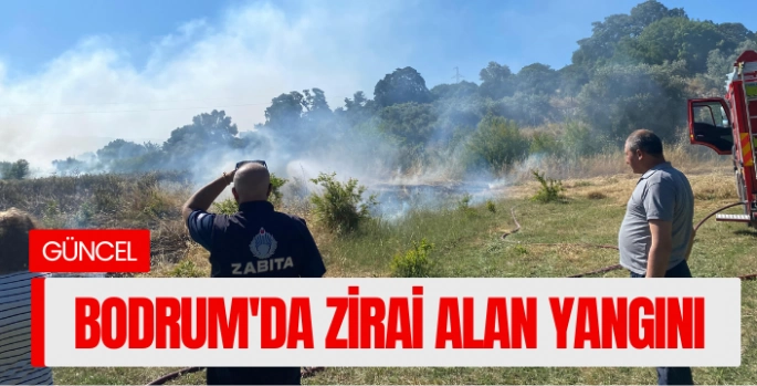 Bodrum'da zirai alan yangını