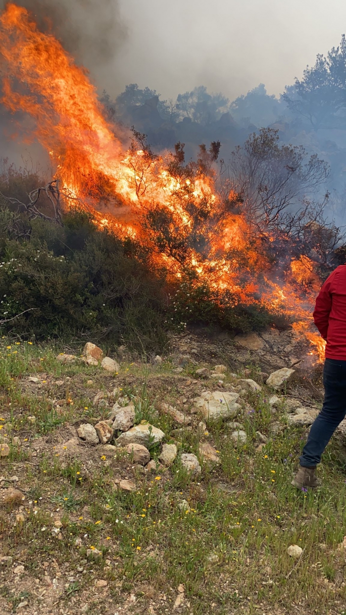 Bodrum’daki Yangında Kundaklama Şüphesi