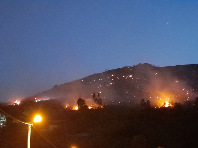 Bodrum Dereköy'deki yangın yerleşim yerine dayandı