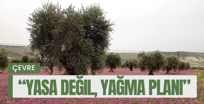 Bodrum Kent Konseyi’nden TBMM’ye Sert Uyarı: “Doğa Ranta Kurban Edilemez!”