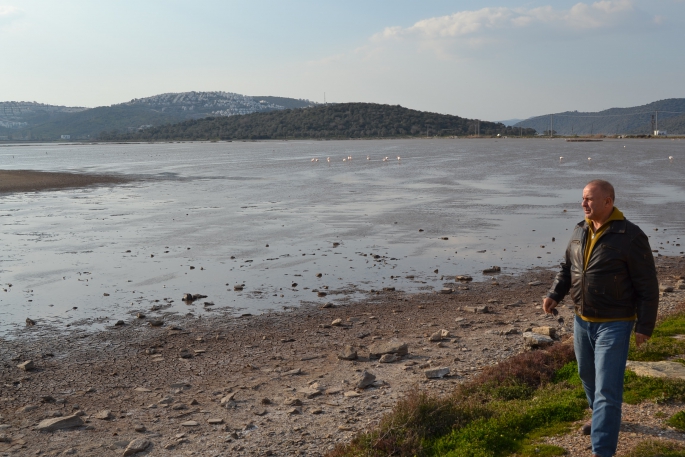 Bodrum tuzla kuş cenneti yok mu oluyor!