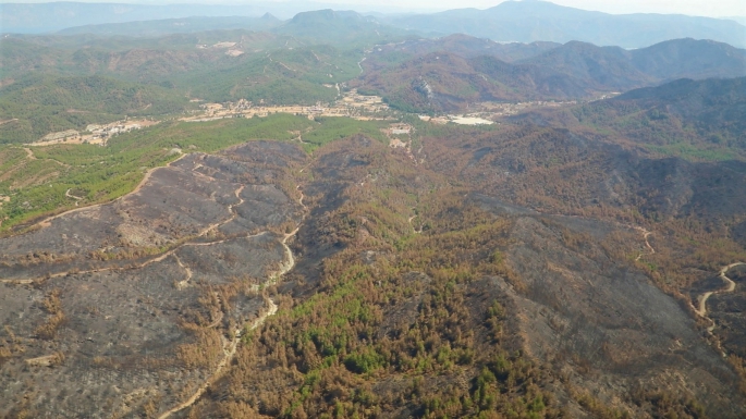 Bodrum ve Milas'ın yanan ormanlara RES geliyor