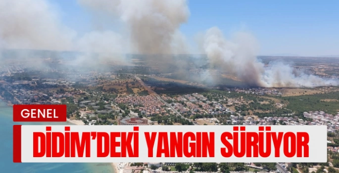 Didim’de makilik yangını