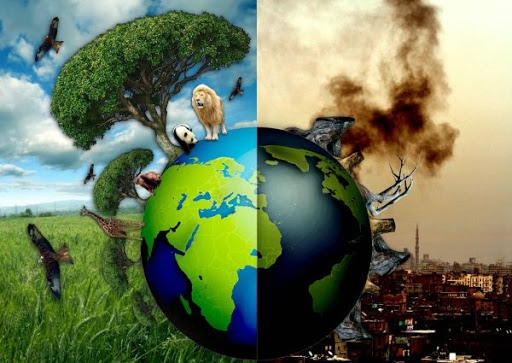 Dünya Çevre Günü: Türkiye'de çevre sorunlarının çözümünü zorlaştıran 4 neden