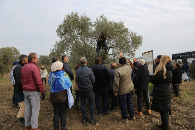 Efes Tarlası Yaşam Köyü'nde çiftçi eğitimleri devam ediyor