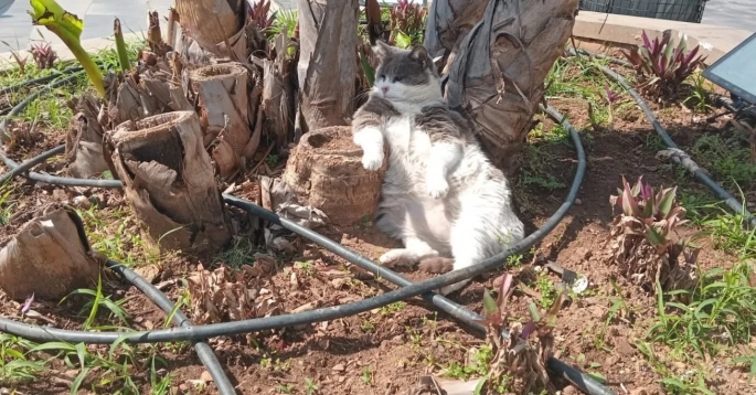 İşçiler çalıştı, o keyfini bozmadı