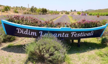 Didim, bayramı Lavanta Festivali ile kutlayacak
