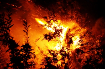 İzmir ve Muğla için yüksek sıcaklık ve orman yangını uyarısı