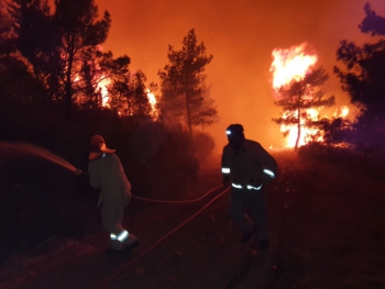 Marmaris'teki orman yangını 5 noktada ilerliyor