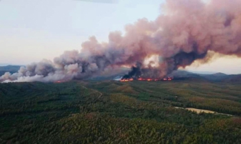 Yangından 1028 hektarlık alan etkilendi