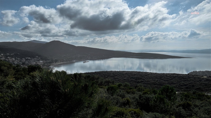 Karaburun'da vatandaşlardan RES tepkisi: Kuş türleri için 'yok oluş fermanı'