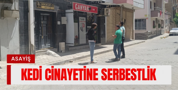 Kediyi Vuran Şahıs Serbest Bırakıldı, Mahalleli Ayağa Kalktı