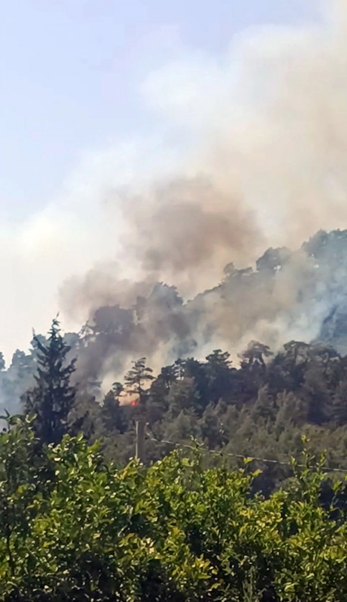 Köyceğiz’de orman yangını başladı