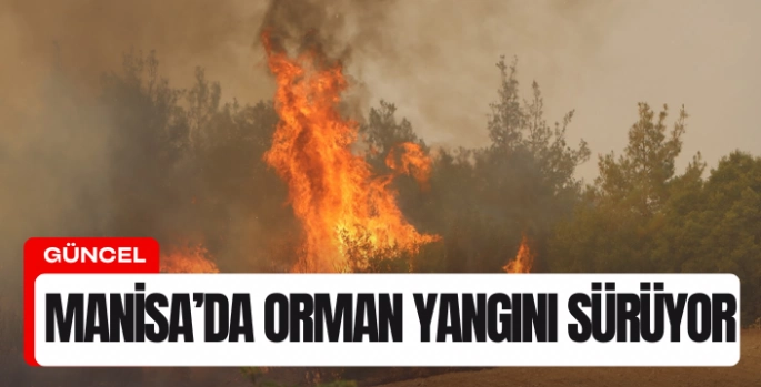 Kula'da orman yangınına müdahale sürüyor