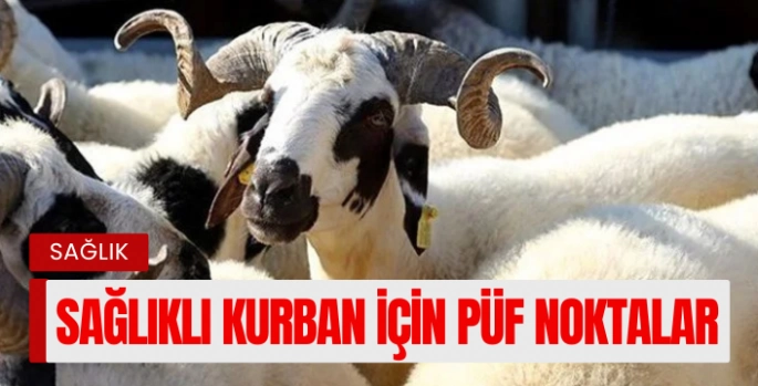 Kurban Kesiminde Hijyen Kuralları Hayati Önem Taşıyor: Uzmandan Önemli Uyarılar