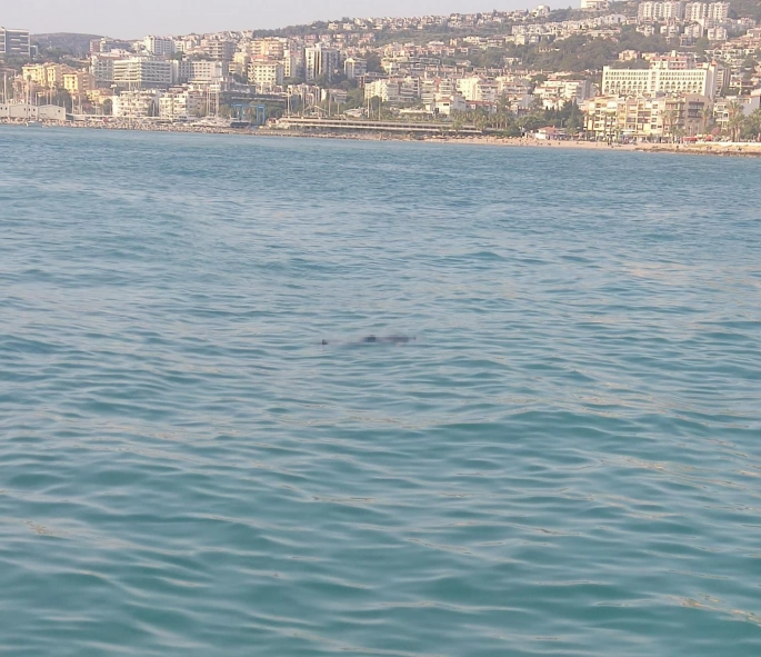 Kuşadası'nda denizde ceset bulundu