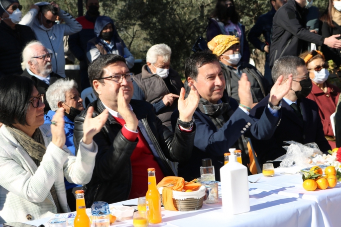 'Mandalina Hasat Festivali' gerçekleştirildi