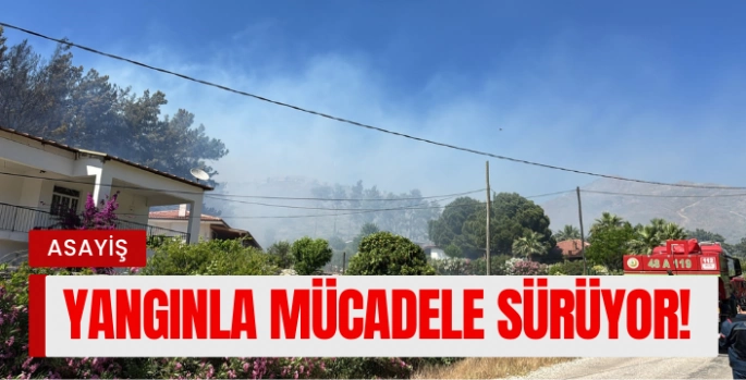 Marmaris Hisarönü'nde Çatı Tadilatından Sıçrayan Kıvılcımlar Ormanı Ateşledi: Büyük Yangınla Mücadele Sürüyor!