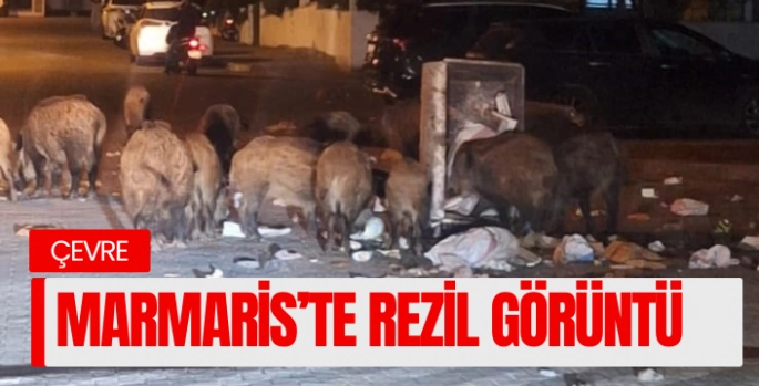 Marmaris'te rezil görüntü