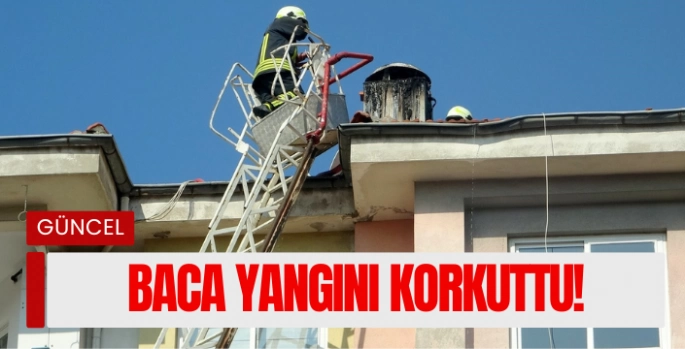 Menteşe’de Baca Yangını Korkuttu!
