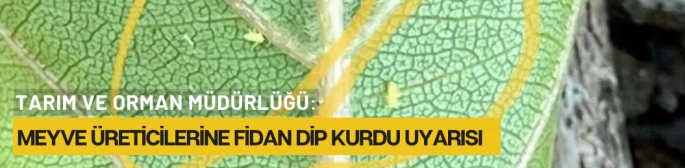 Meyve Üreticilerine Fidan Dip Kurdu Uyarısı