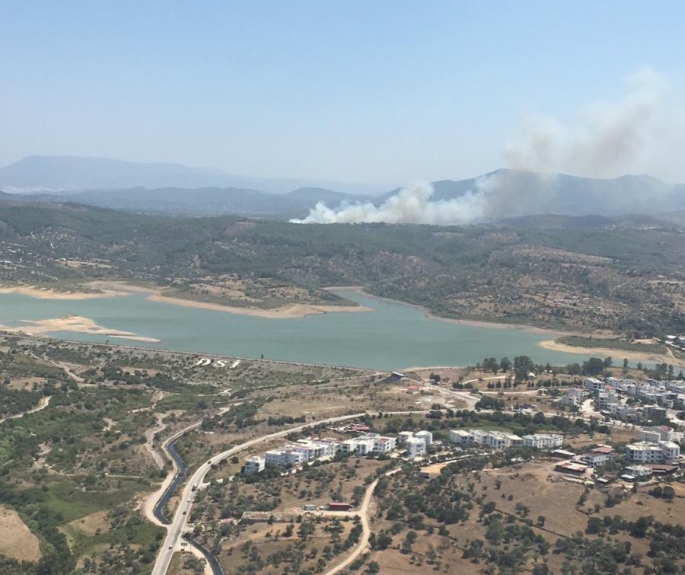 Milas'ta orman yangını 