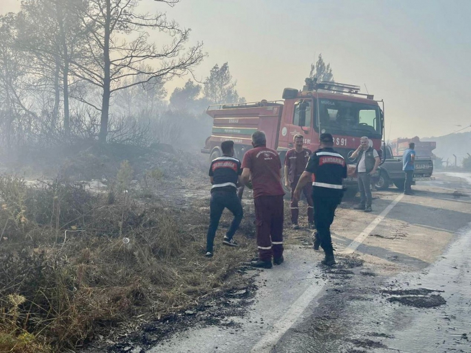 Milas'taki yangın kontrol altına alındı