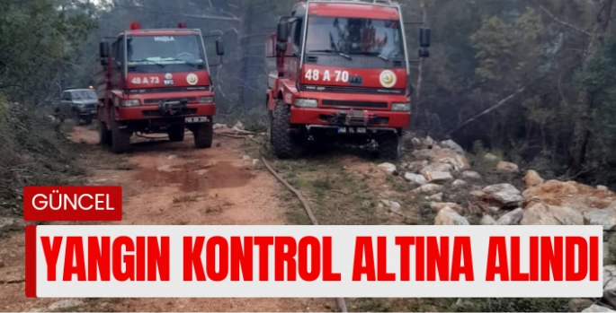 Milas yangını kontrol altına alındı
